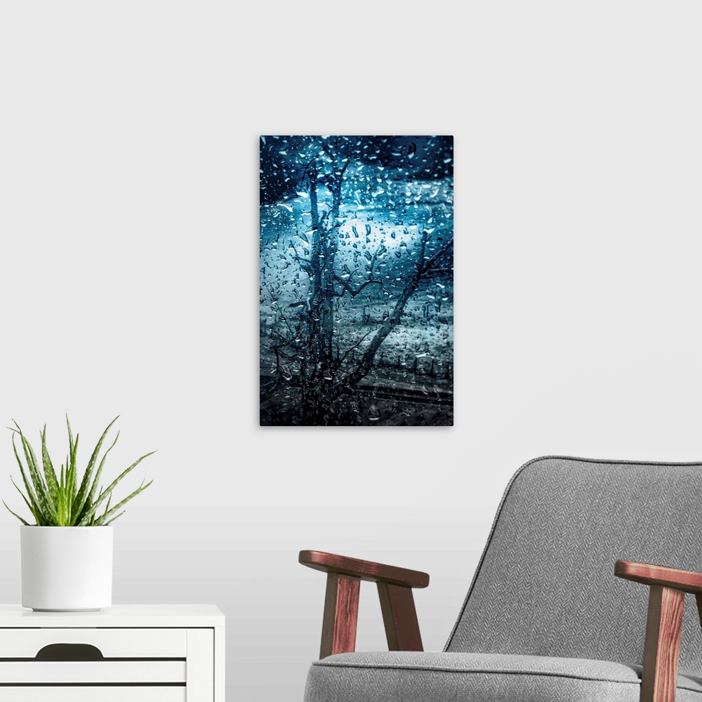 A modern room featuring Cool toned photograph of large rain droplets with a bare tree in the background.
