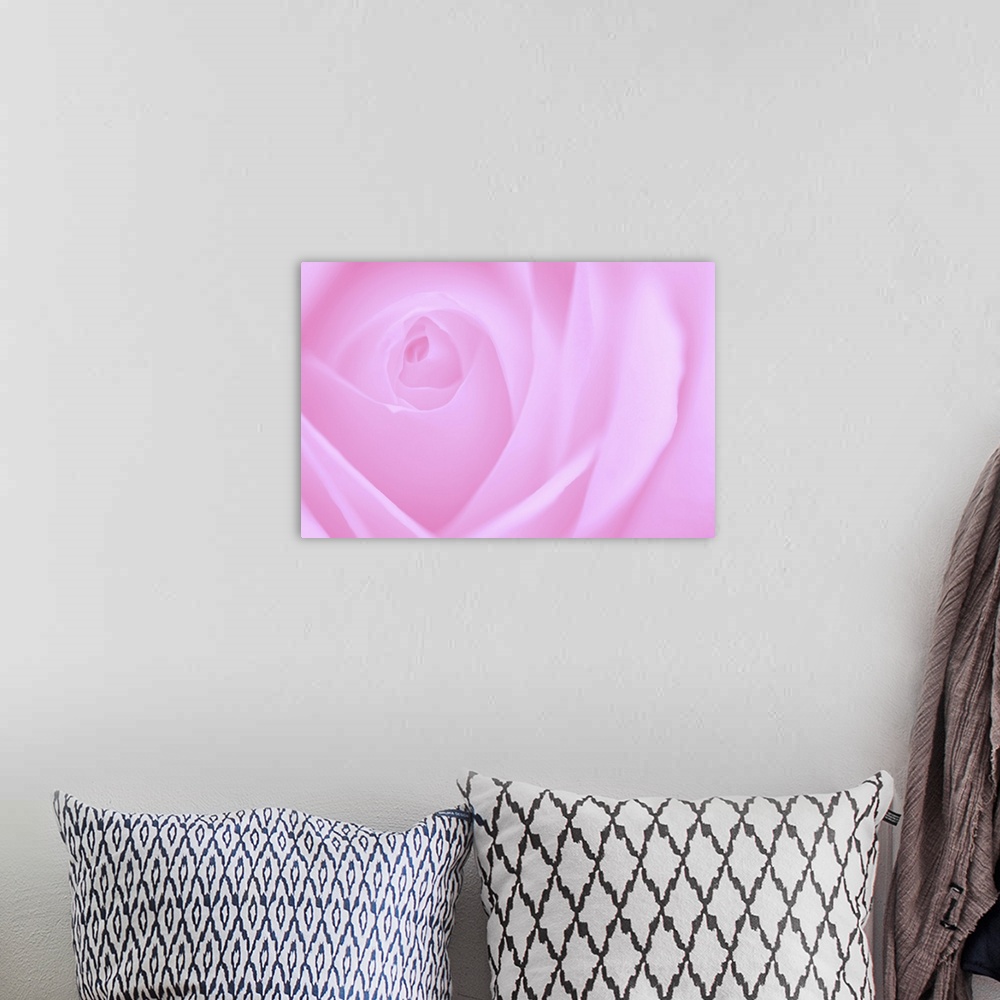 A bohemian room featuring A contemporary close-up of a rose bud opening filling the frame toned in cool deep pink.