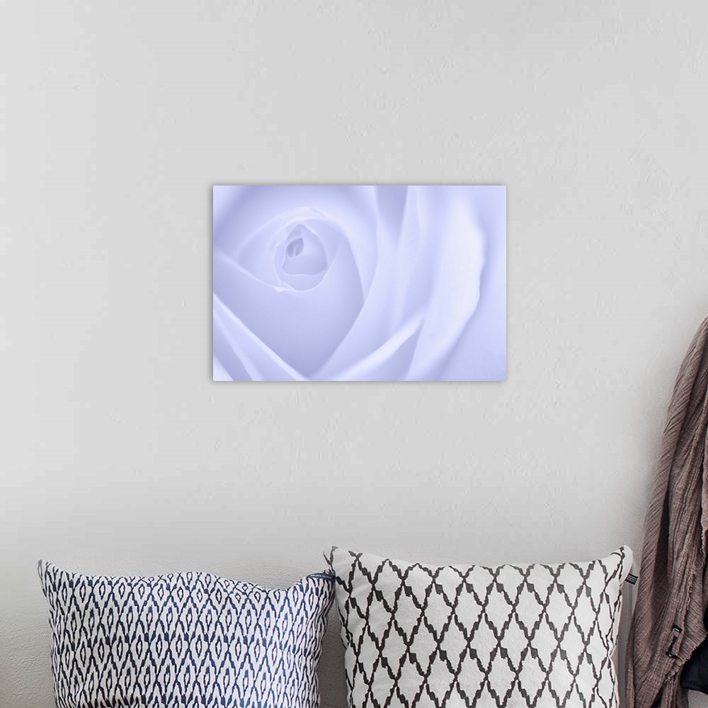 A bohemian room featuring A contemporary close-up of a rose bud opening filling the frame toned in cool purplish white.