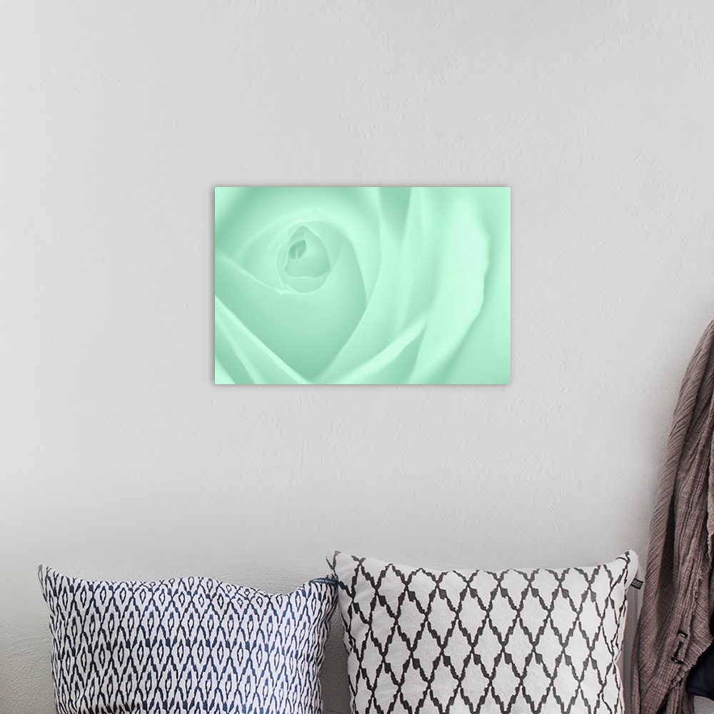 A bohemian room featuring A contemporary close-up of a rose bud opening filling the frame toned in cool mint green.