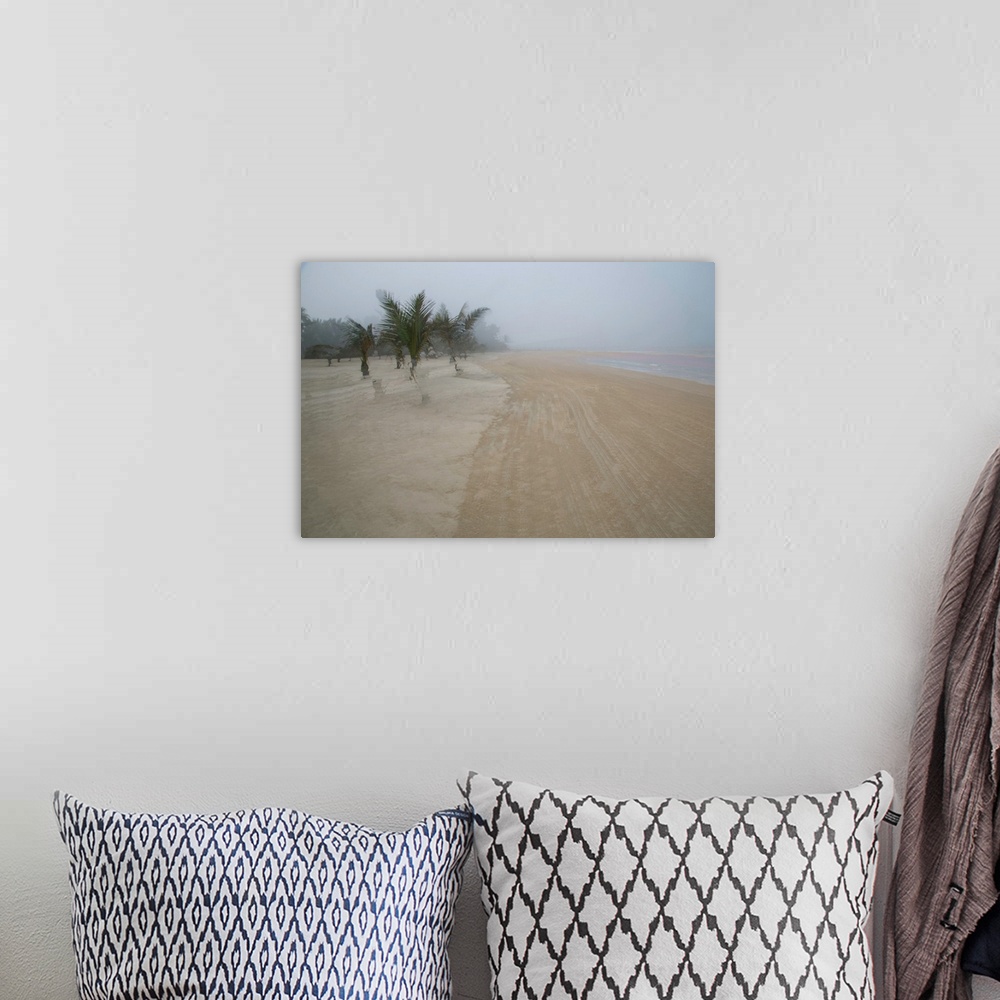 A bohemian room featuring Multiple exposure photograph of palm trees on a sandy beach.