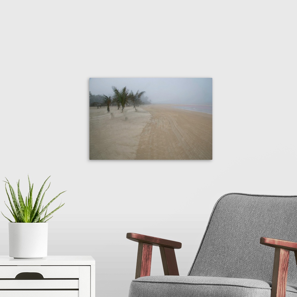 A modern room featuring Multiple exposure photograph of palm trees on a sandy beach.