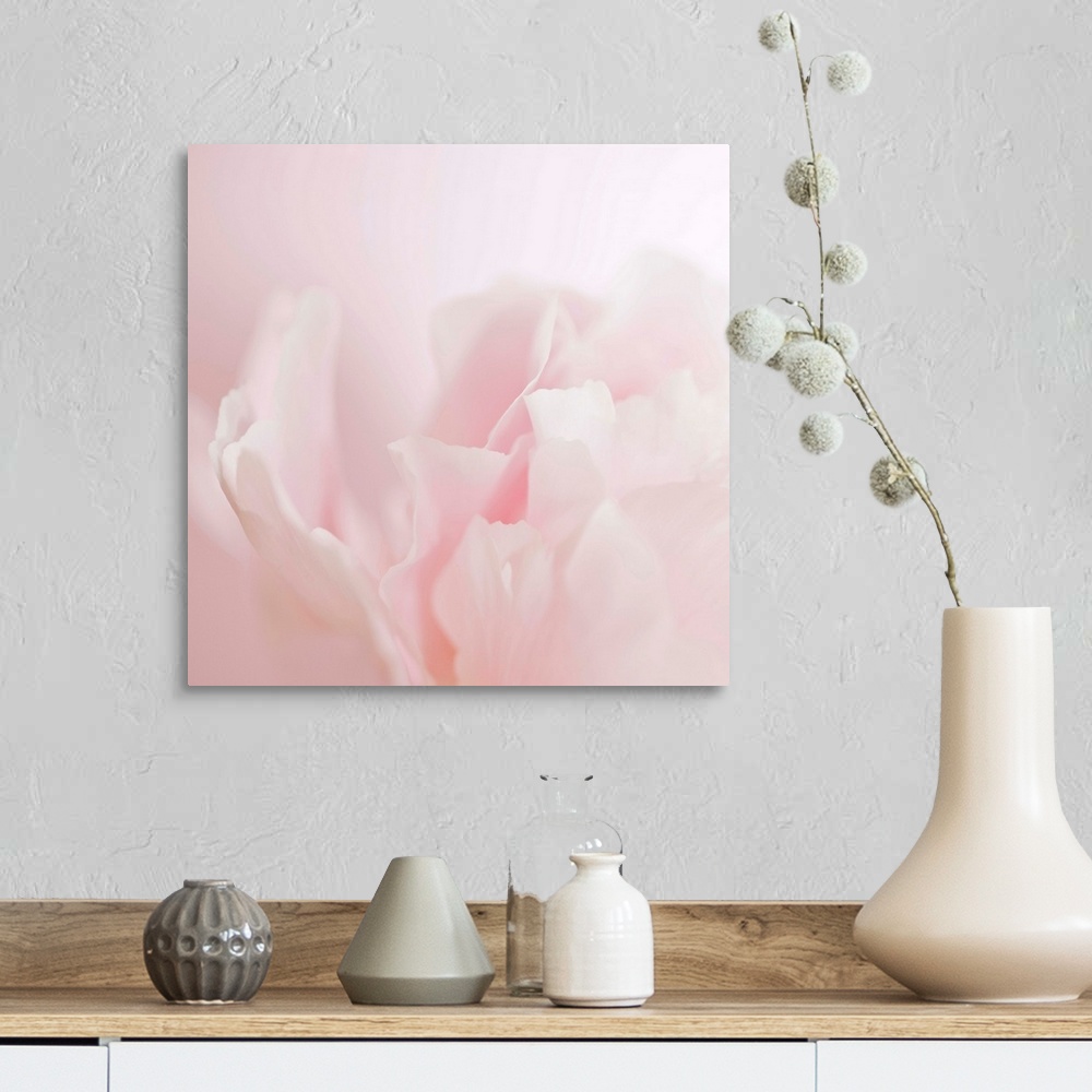 A farmhouse room featuring Soft pastel photograph of a flower with delicate petals, subtly blending into the pale background.