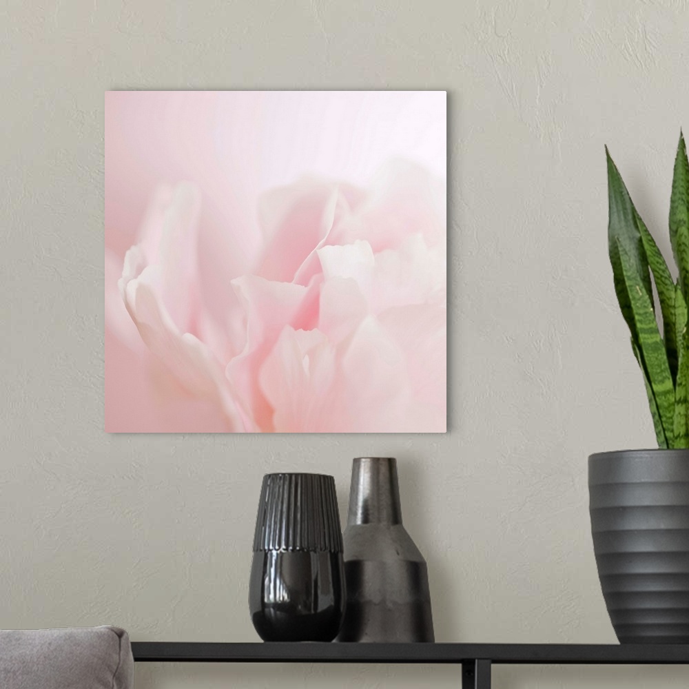 A modern room featuring Soft pastel photograph of a flower with delicate petals, subtly blending into the pale background.