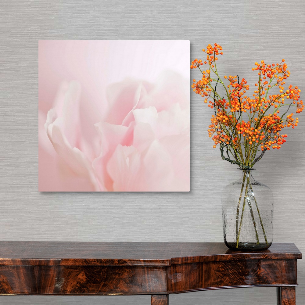 A traditional room featuring Soft pastel photograph of a flower with delicate petals, subtly blending into the pale background.