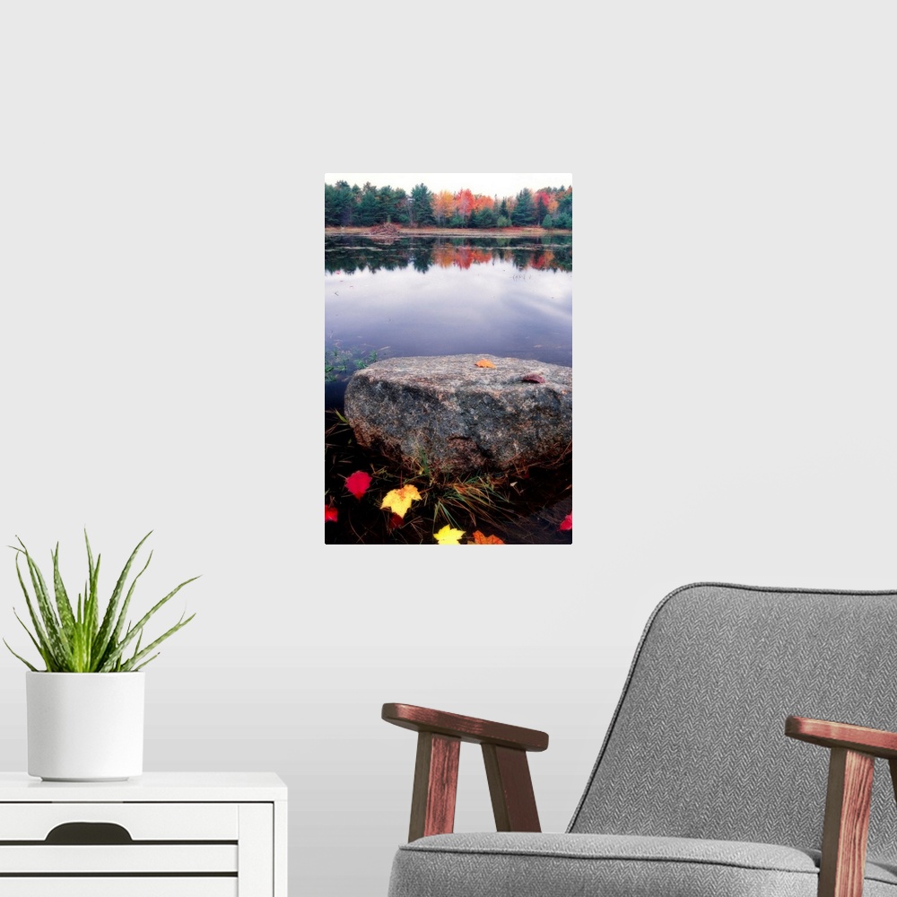 A modern room featuring Photograph of huge rock in a pond surrounded by fallen autumn leaves with forest in the distance ...