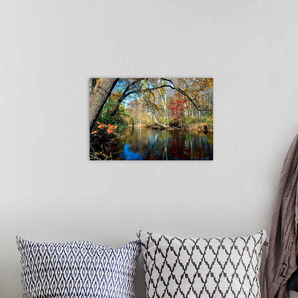 A bohemian room featuring This landscape photograph is the Lamington River flowing through a forest in New Jersey in late a...