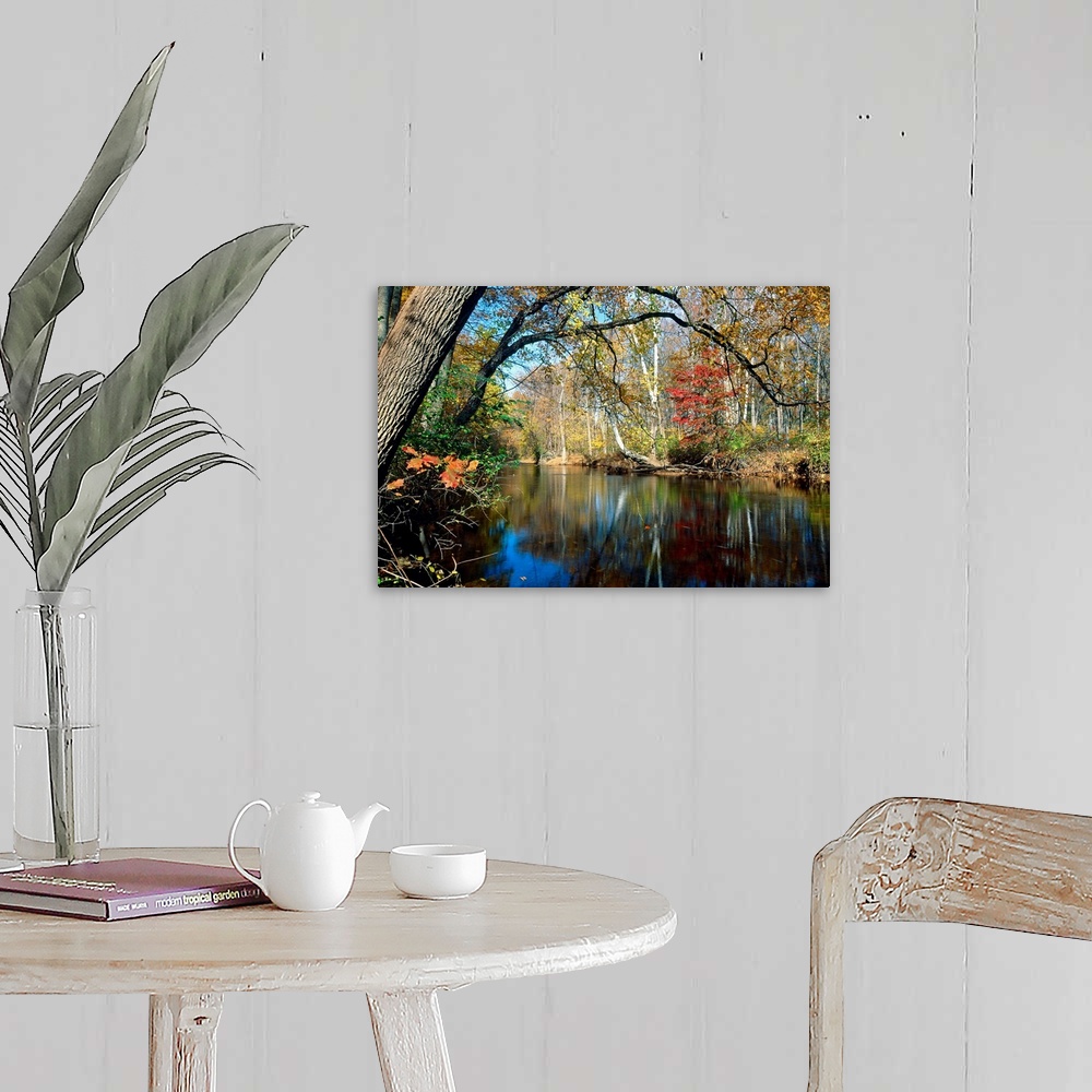 A farmhouse room featuring This landscape photograph is the Lamington River flowing through a forest in New Jersey in late a...