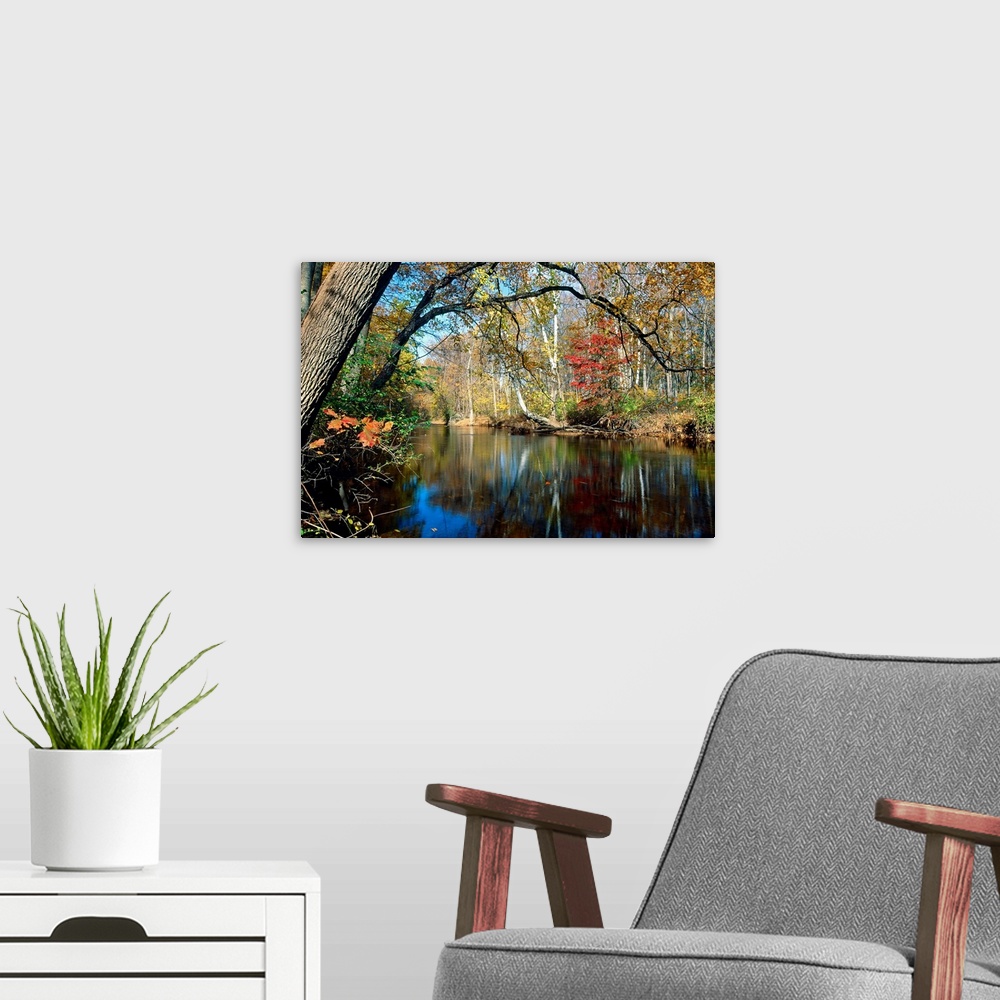 A modern room featuring This landscape photograph is the Lamington River flowing through a forest in New Jersey in late a...