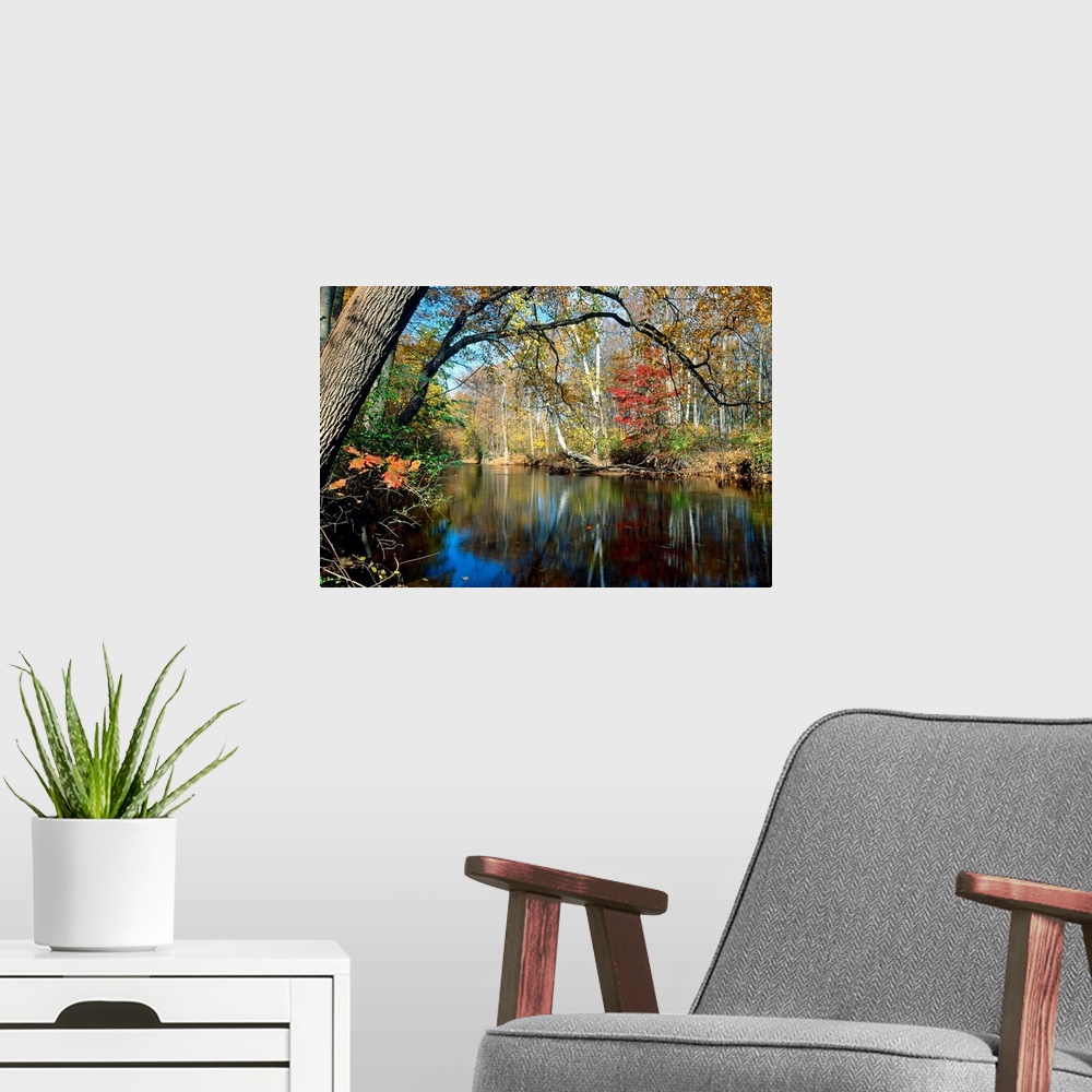 A modern room featuring This landscape photograph is the Lamington River flowing through a forest in New Jersey in late a...
