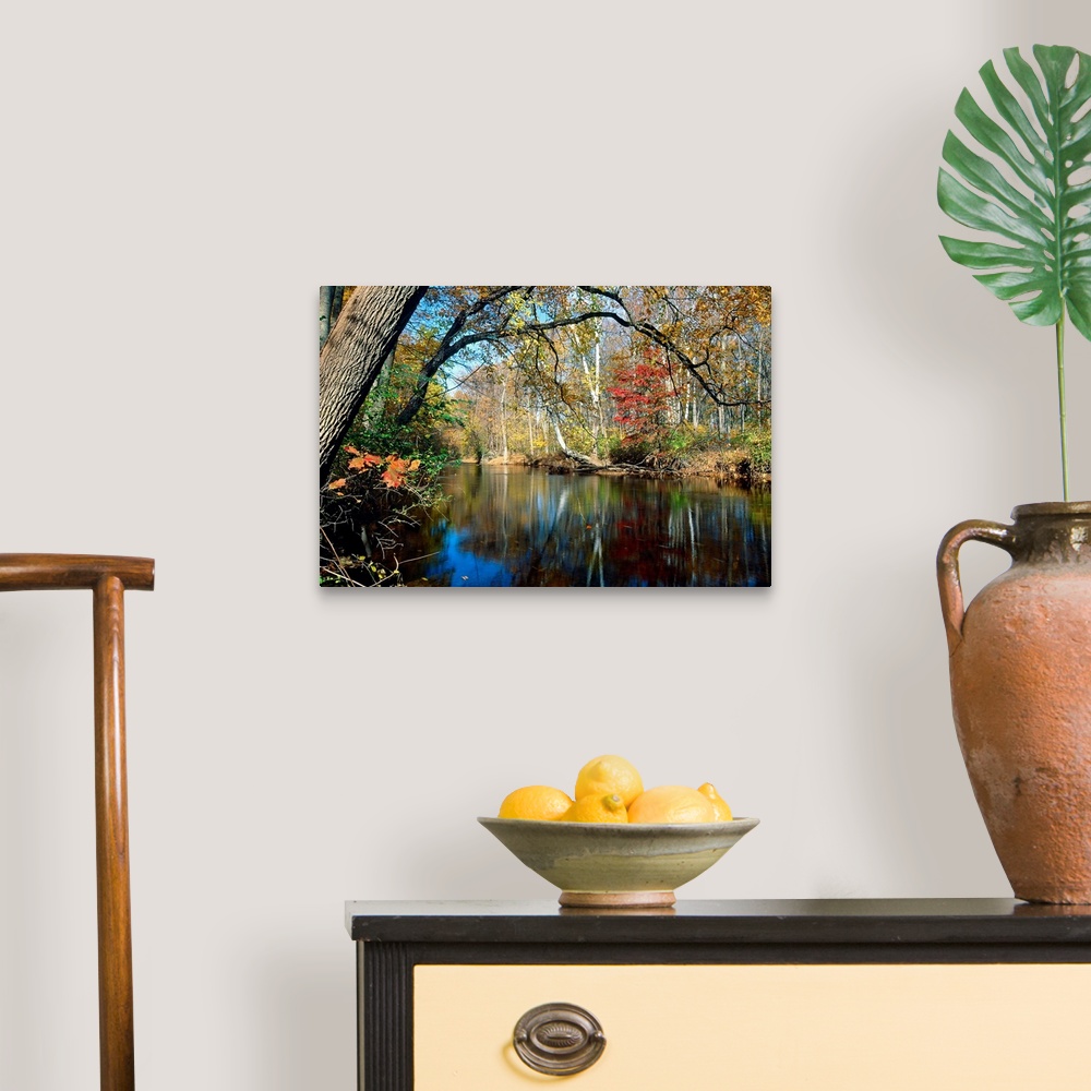 A traditional room featuring This landscape photograph is the Lamington River flowing through a forest in New Jersey in late a...