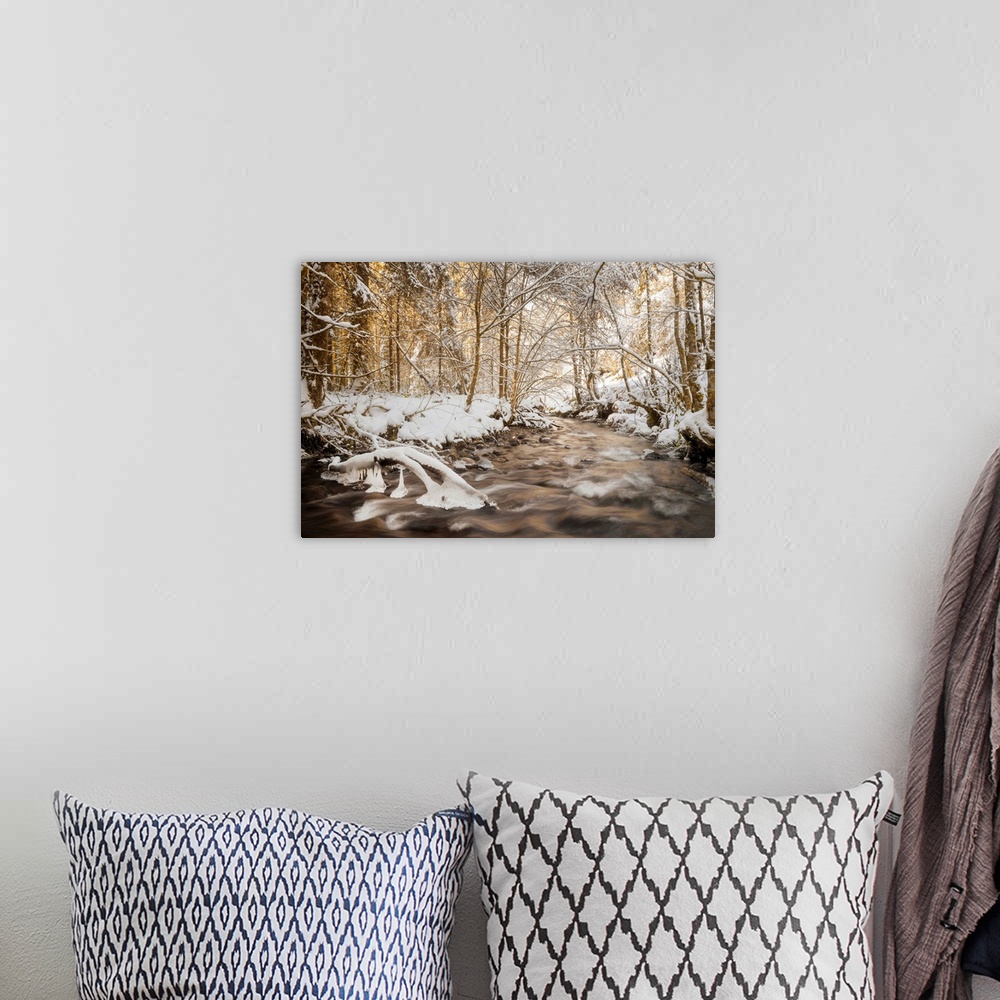 A bohemian room featuring Photograph of a rushing river in the middle of snow covered woods at golden hour.