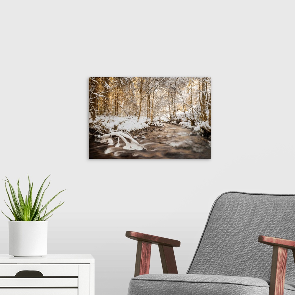 A modern room featuring Photograph of a rushing river in the middle of snow covered woods at golden hour.