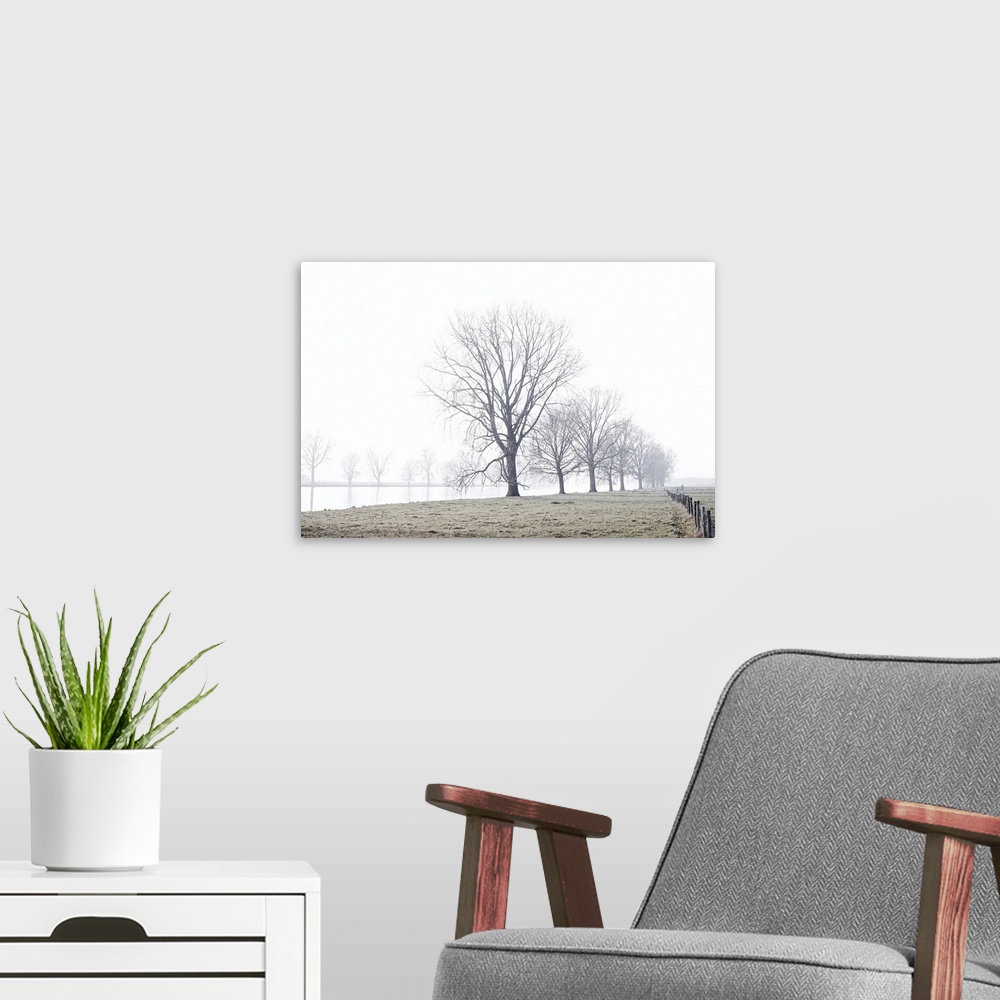 A modern room featuring The wind plays her song on the bare branches of the trees.