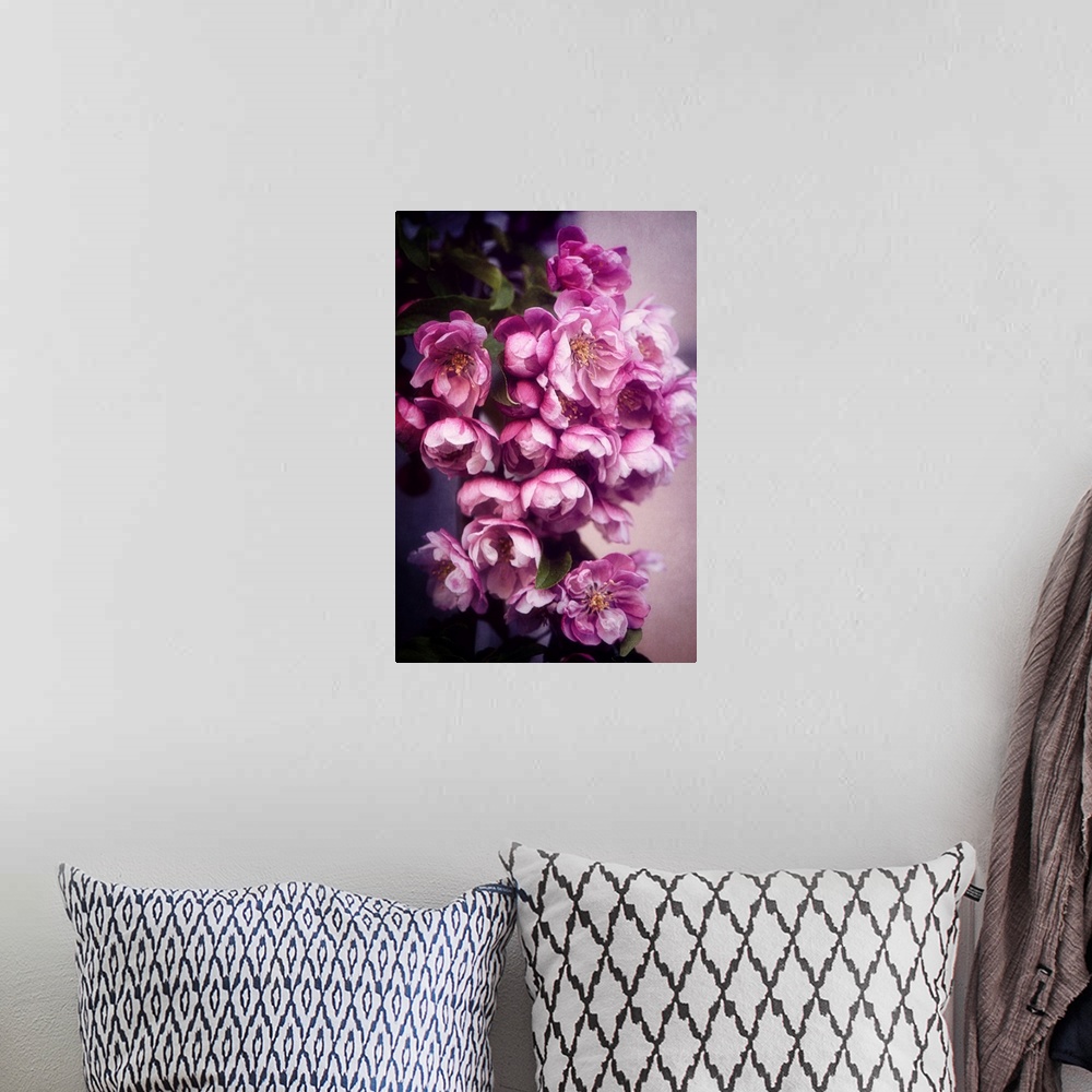 A bohemian room featuring A close-up of cherry blossoms with photo texture