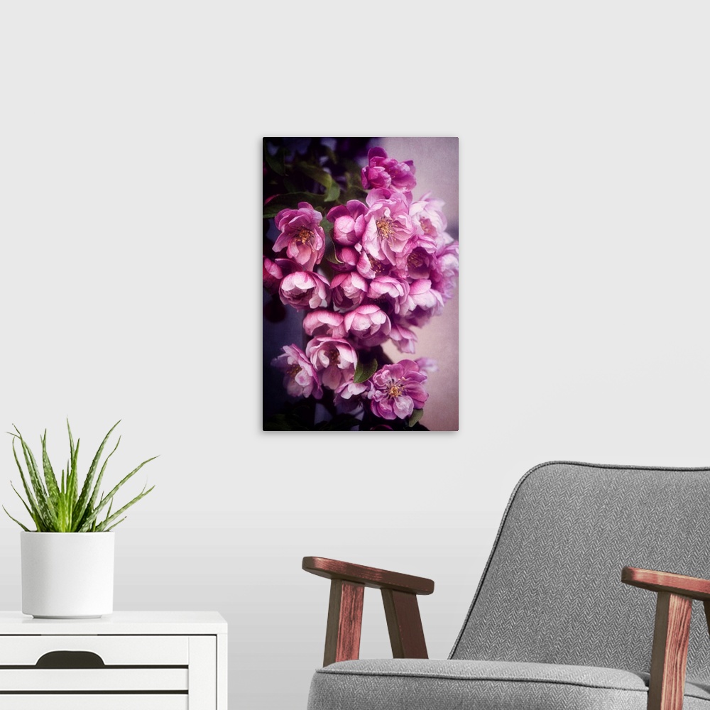 A modern room featuring A close-up of cherry blossoms with photo texture