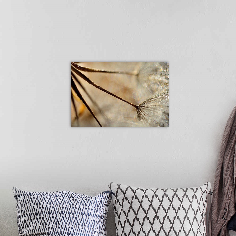 A bohemian room featuring Large photo on canvas of multiple dandelions up close growing from right to left.