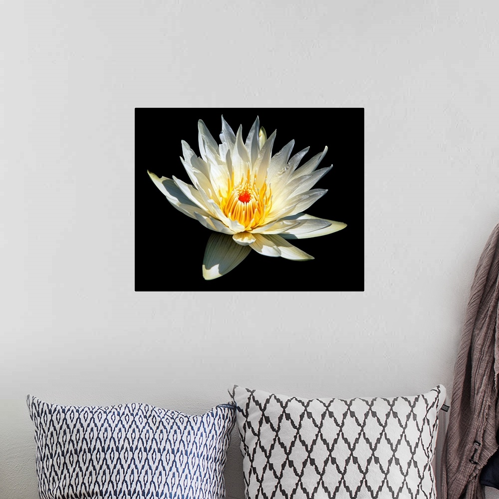 A bohemian room featuring White Glowing Water Lily