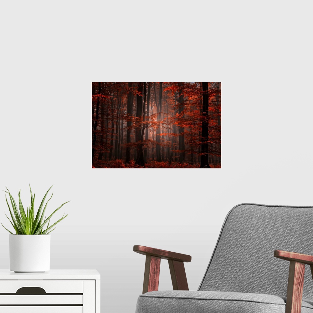 A modern room featuring Ethereal landscape photograph of trees in a forest at autumn.
