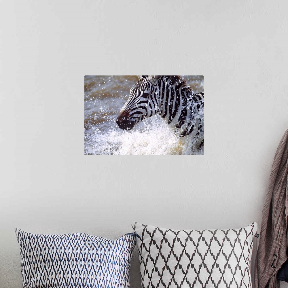 A bohemian room featuring Photograph of a zebra running through a body of water as drops of water shoot upward.