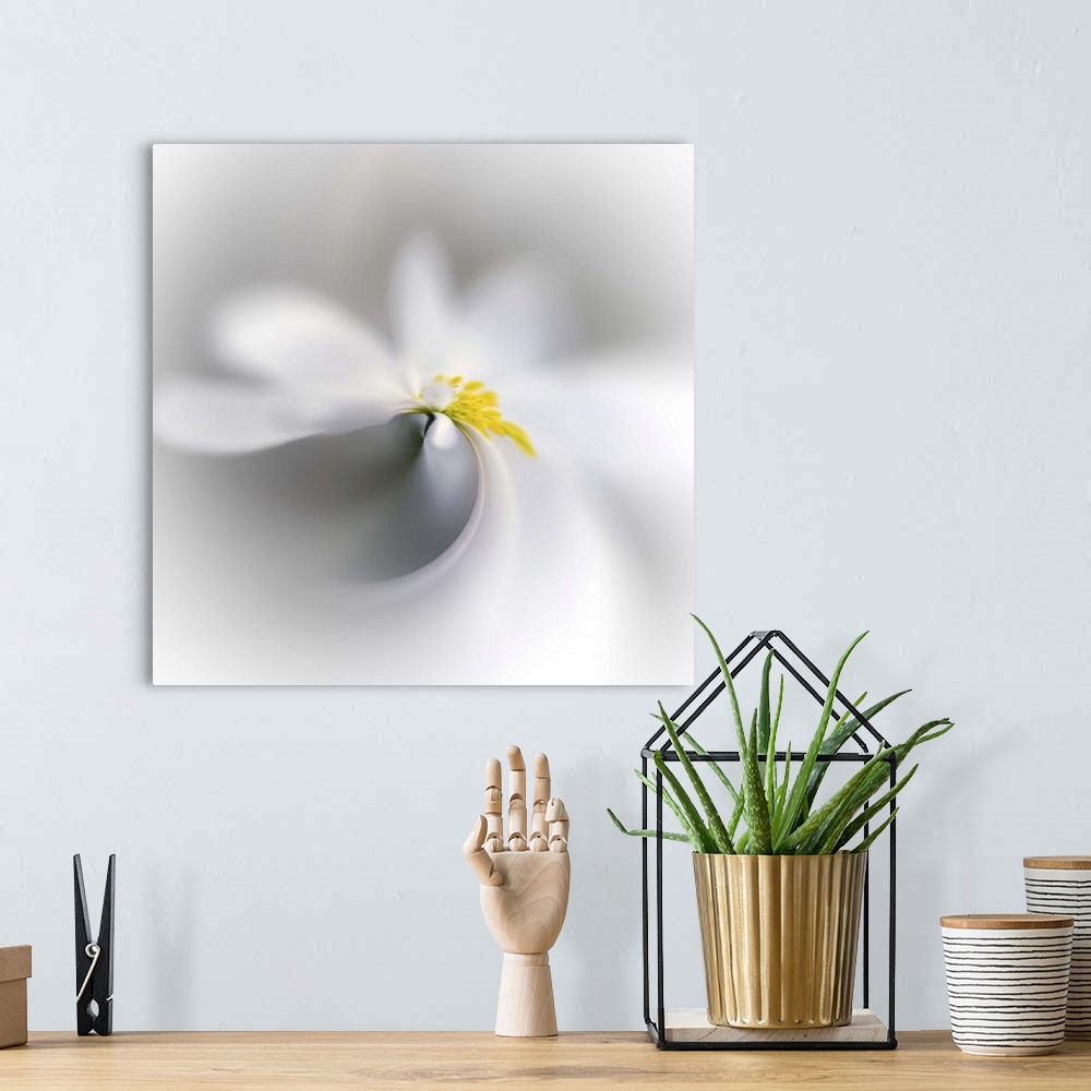 A bohemian room featuring Swirled image of a white flower with a yellow center.