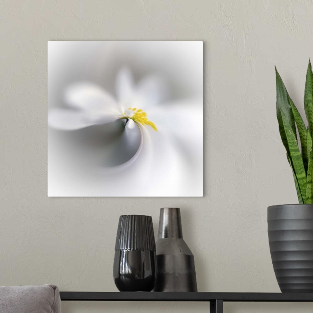 A modern room featuring Swirled image of a white flower with a yellow center.