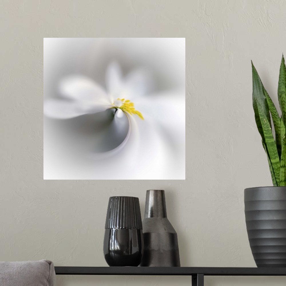 A modern room featuring Swirled image of a white flower with a yellow center.