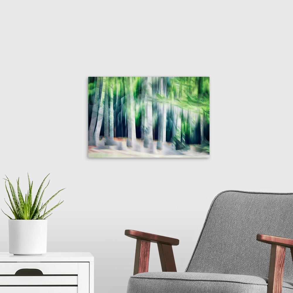 A modern room featuring A number of silvery trees with green foliage on the dark backdrop of a hillside. The image was ma...