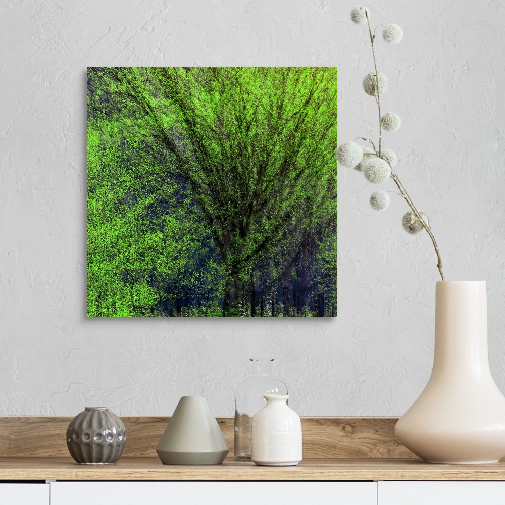 A farmhouse room featuring Multiple exposure photograph of a tree.