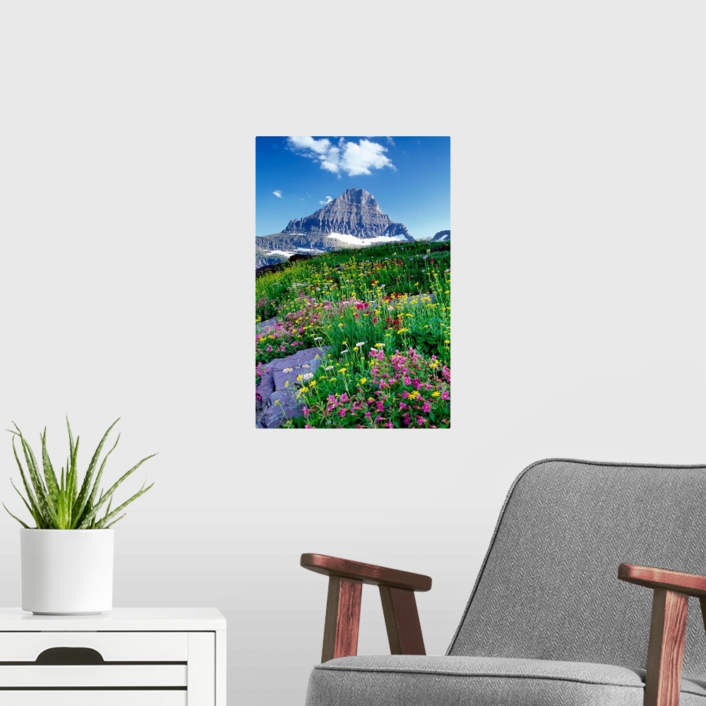 A modern room featuring Tall canvas of beautiful wildflowers in a field in front of a rugged mountain.