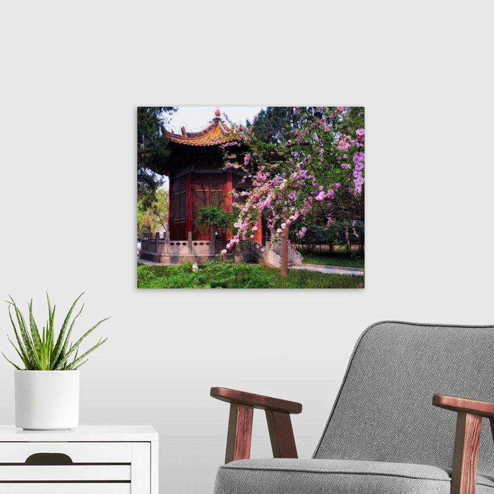 A modern room featuring Garden pavilion in a garden with blooming cherry trees, Beilin Museum Xian, China.