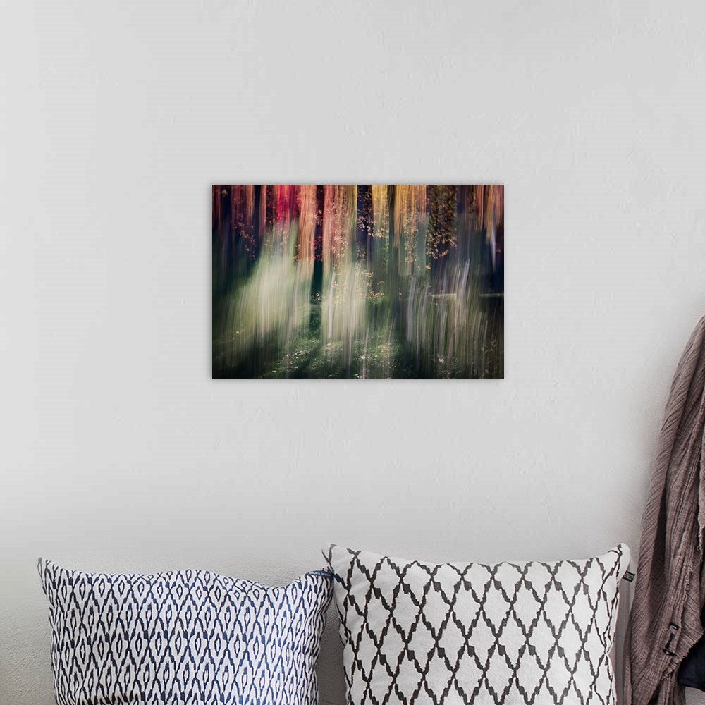 A bohemian room featuring Multi-exposure image of a forest, from Ursula Abresch's Impressionist Trees Series.