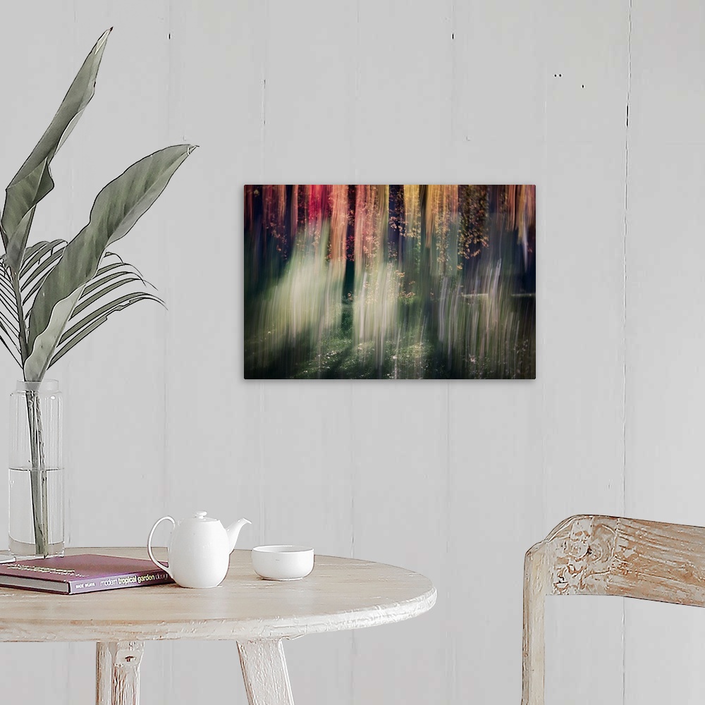 A farmhouse room featuring Multi-exposure image of a forest, from Ursula Abresch's Impressionist Trees Series.