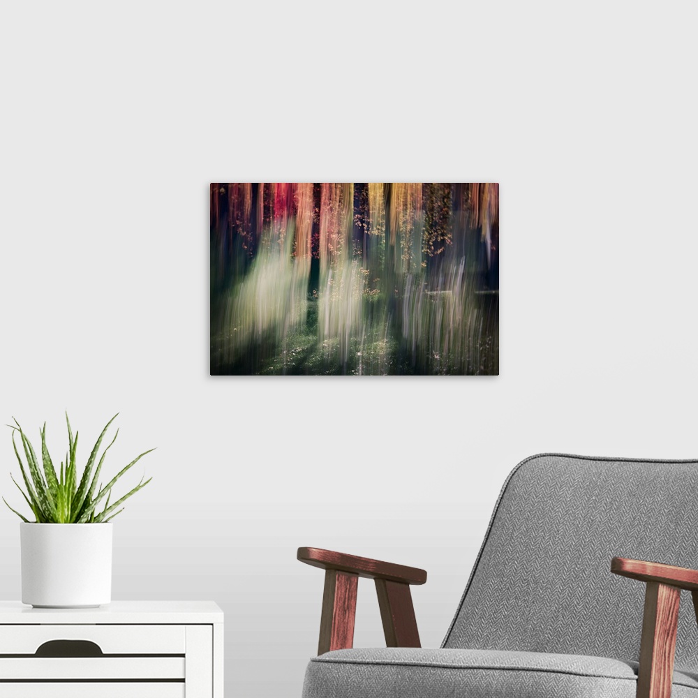 A modern room featuring Multi-exposure image of a forest, from Ursula Abresch's Impressionist Trees Series.