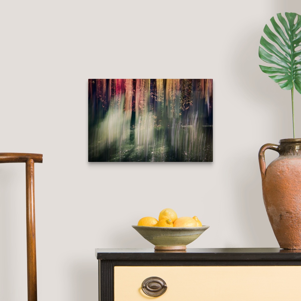 A traditional room featuring Multi-exposure image of a forest, from Ursula Abresch's Impressionist Trees Series.