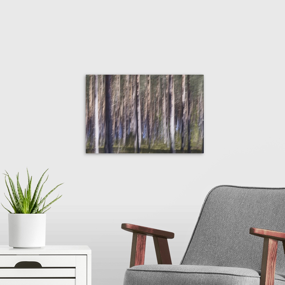 A modern room featuring The vibrant colors of spring in a beautiful pine forest.