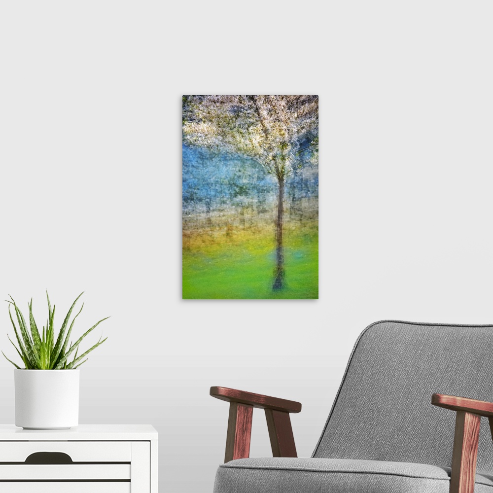 A modern room featuring Enhanced photograph of a blossoming tree, resembling a painting, from Ursula Abresch's Impression...
