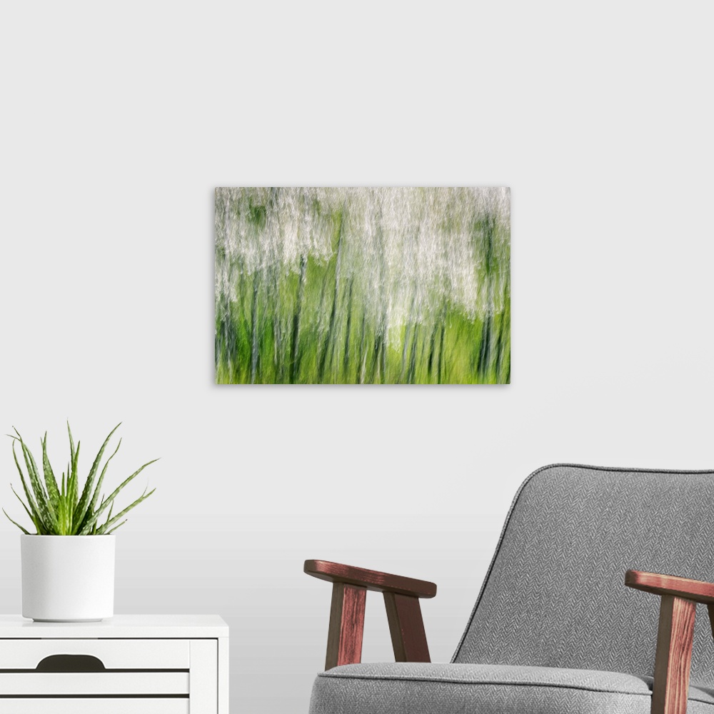 A modern room featuring Blurred motion image of a a row of blossoming trees, creating an abstract image.