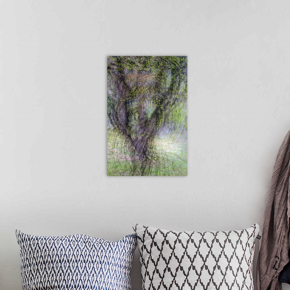 A bohemian room featuring Blurred motion image of a tree, creating an abstract image.