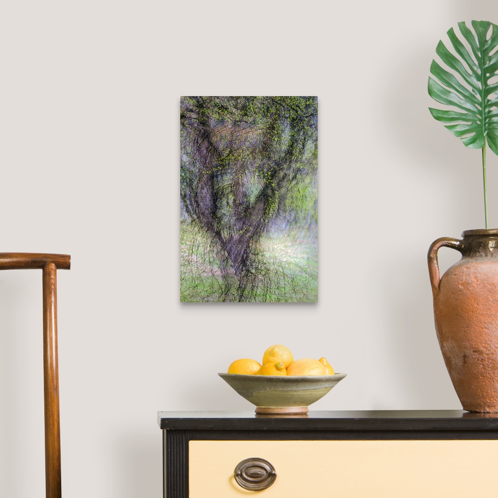 A traditional room featuring Blurred motion image of a tree, creating an abstract image.