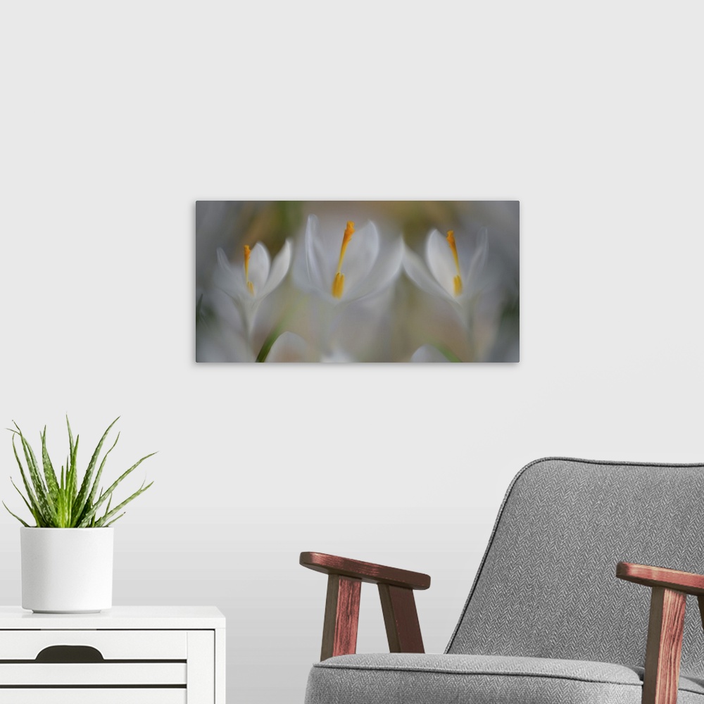 A modern room featuring Three images blended together.