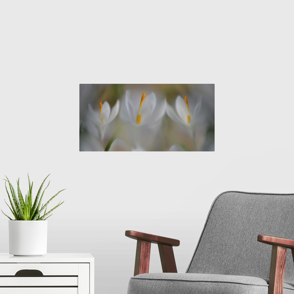 A modern room featuring Three images blended together.