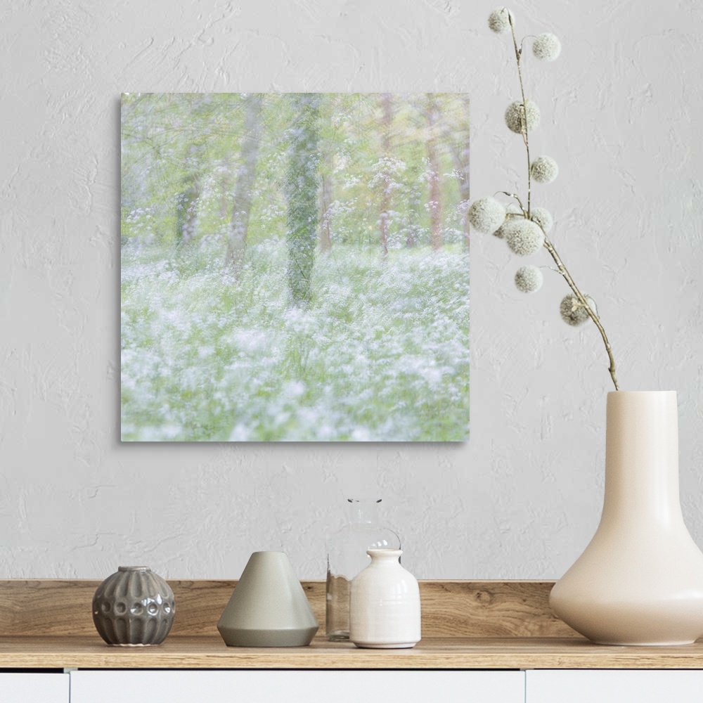A farmhouse room featuring Dreamlike photograph of a forest filled with small white flowers and a blurred appearance.