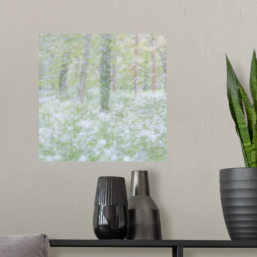 A modern room featuring Dreamlike photograph of a forest filled with small white flowers and a blurred appearance.