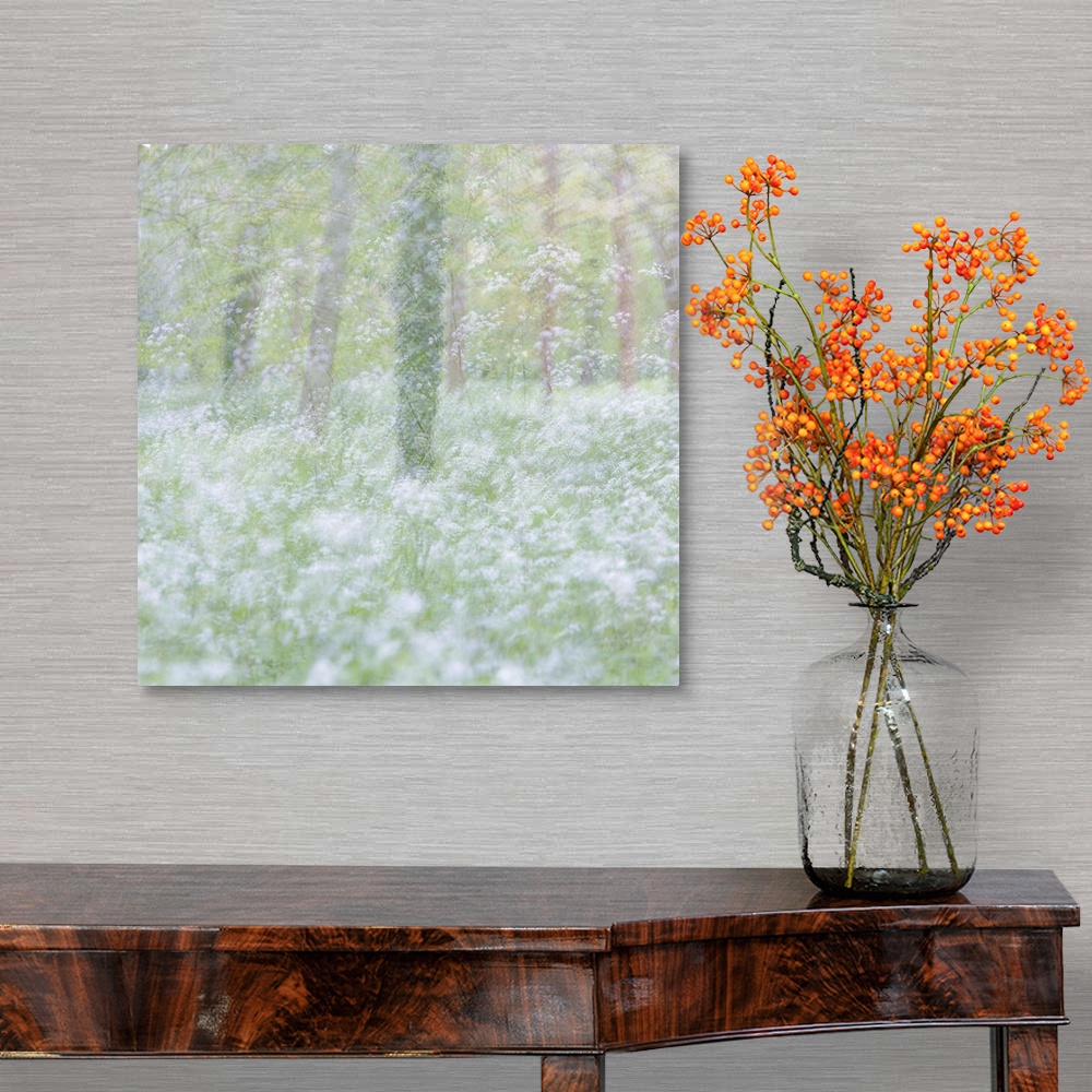 A traditional room featuring Dreamlike photograph of a forest filled with small white flowers and a blurred appearance.