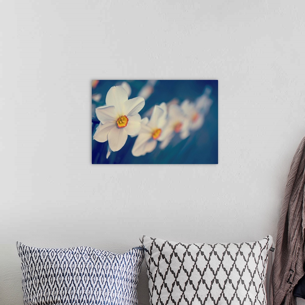 A bohemian room featuring Horizontal photograph on a large wall hanging of big, blooming flowers in a row, focus becomes so...