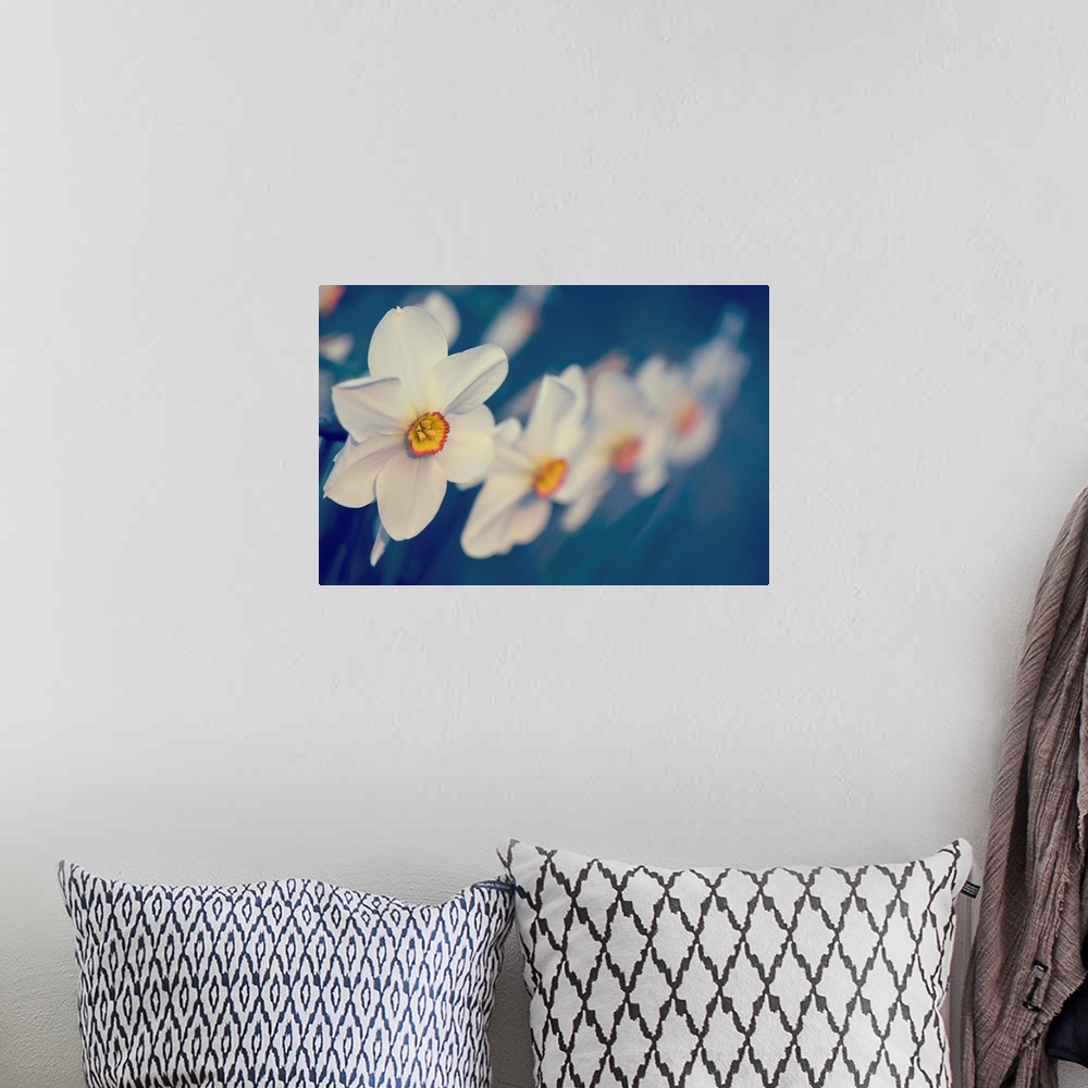 A bohemian room featuring Horizontal photograph on a large wall hanging of big, blooming flowers in a row, focus becomes so...