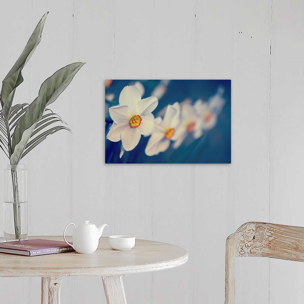 A farmhouse room featuring Horizontal photograph on a large wall hanging of big, blooming flowers in a row, focus becomes so...