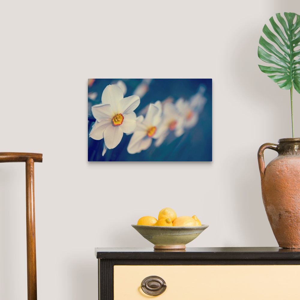 A traditional room featuring Horizontal photograph on a large wall hanging of big, blooming flowers in a row, focus becomes so...