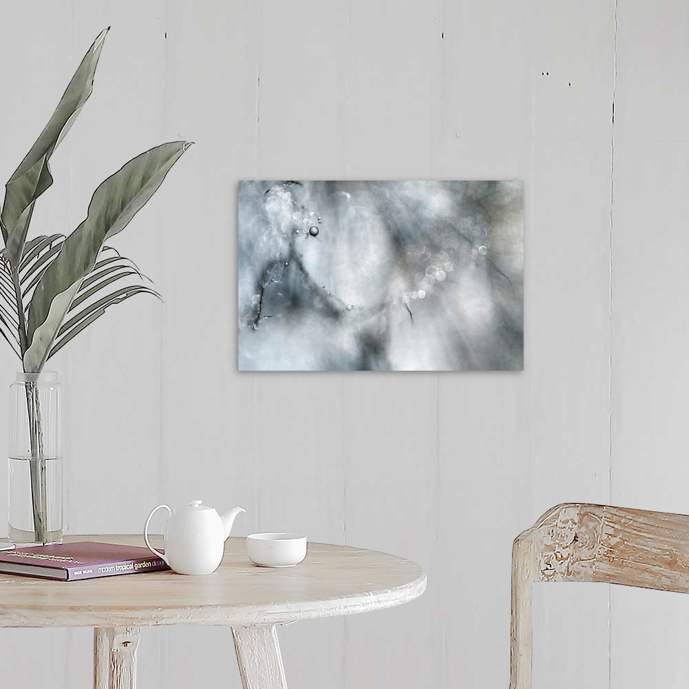 A farmhouse room featuring Abstract artwork of a branch that contains several water droplets while the rest of the tree is b...